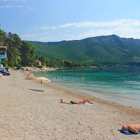 Apartments With A Parking Space Orebic, Peljesac - 10102 Kültér fotó